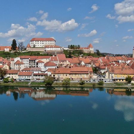 Guesthouse Pri Tonetu Птуй Екстериор снимка