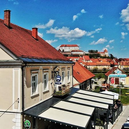 Guesthouse Pri Tonetu Птуй Екстериор снимка